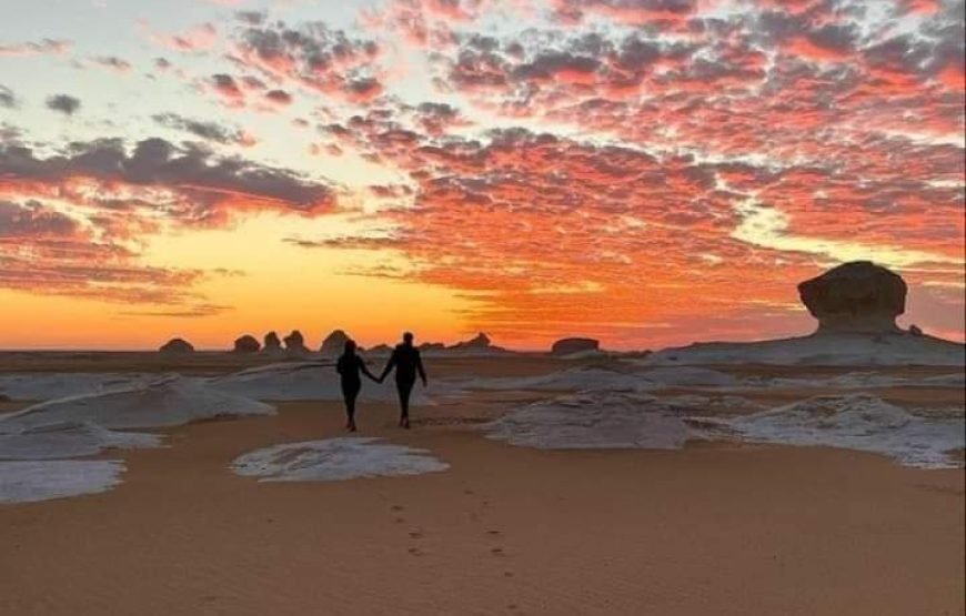 White Desert Overnight tour from Cairo