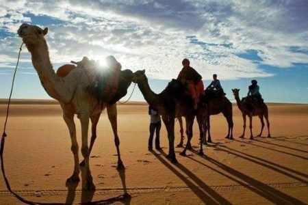 7 Tropical Islands Egypt  You Won’t Believe Are In Egypt