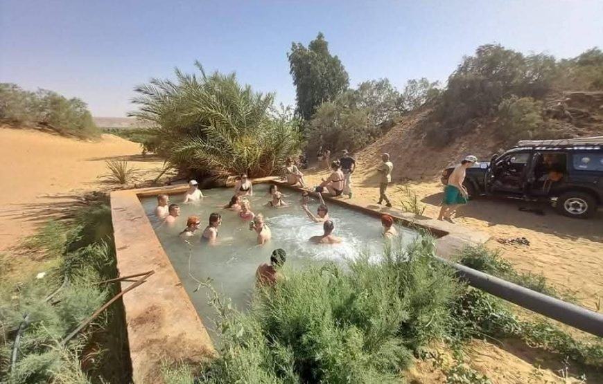 Fayoum Oasis – Bahariya Oasis – White Desert Tour (6 Days / 5 Nights)