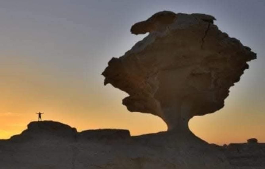 White Desert Overnight tour from Cairo