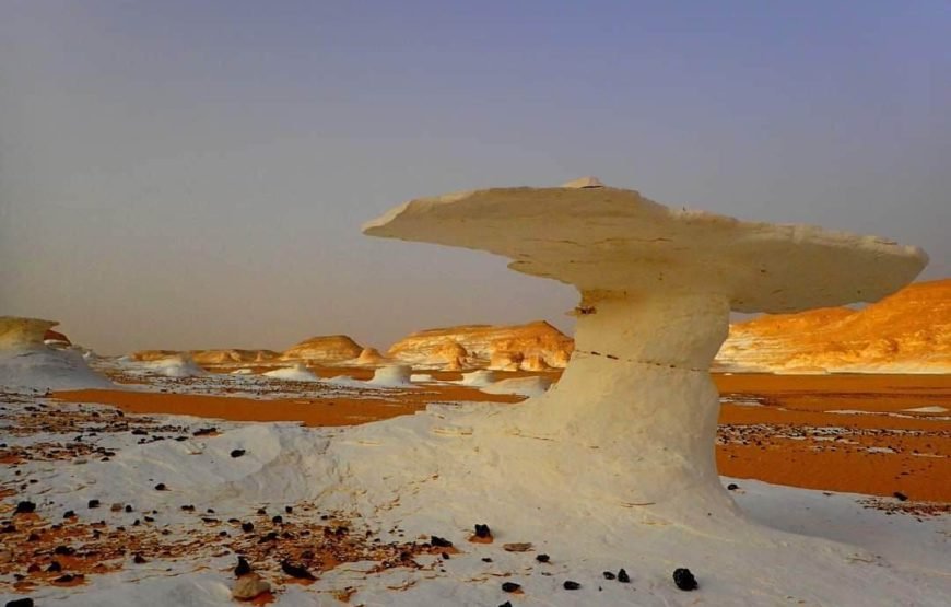 White Desert Overnight tour from Cairo