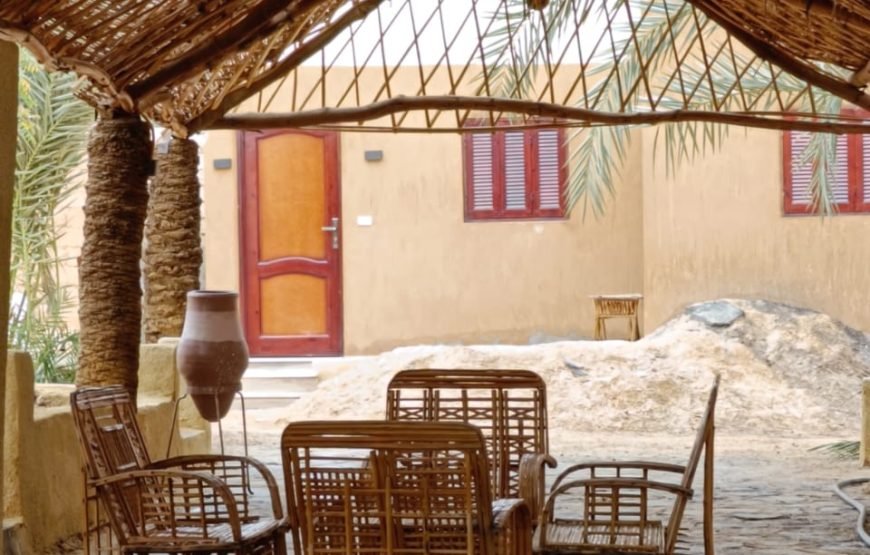 Cairo – Bahariya Oasia – White Desert Tour  – Cairo.