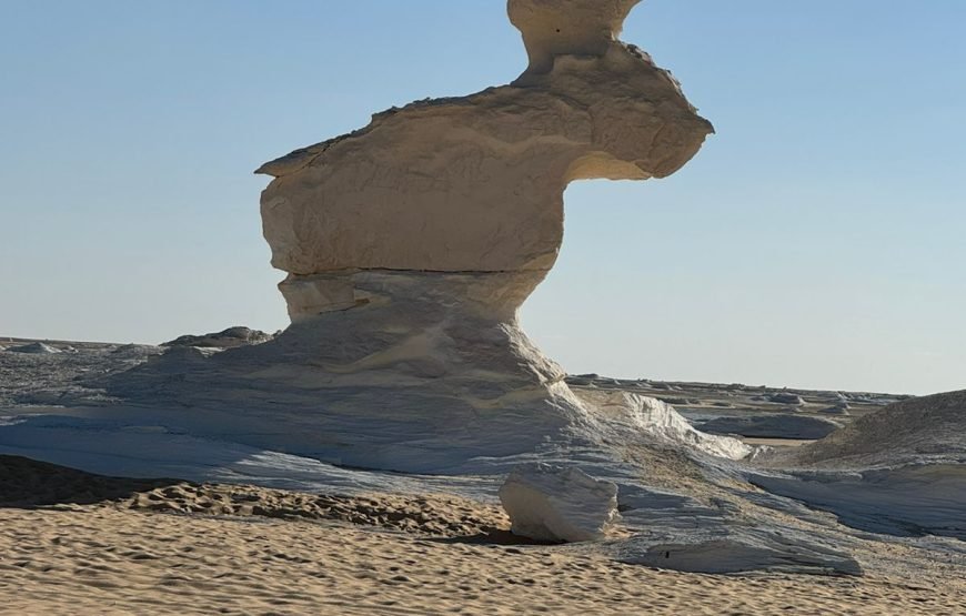 Cairo – Bahariya Oasia – White Desert Tour  – Cairo.