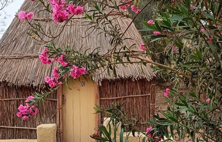 Cairo – Bahariya Oasia – White Desert Tour  – Cairo.