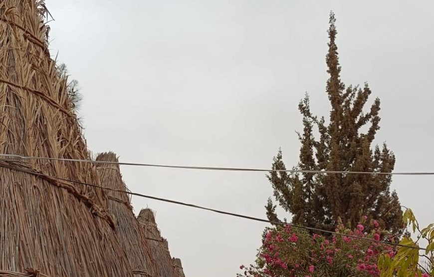 Cairo – Bahariya Oasia – White Desert Tour  – Cairo.