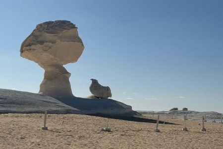 Cairo – Bahariya Oasia – White Desert Tour  – Cairo.