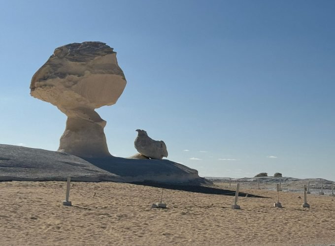 Cairo – Bahariya Oasia – White Desert Tour  – Cairo.