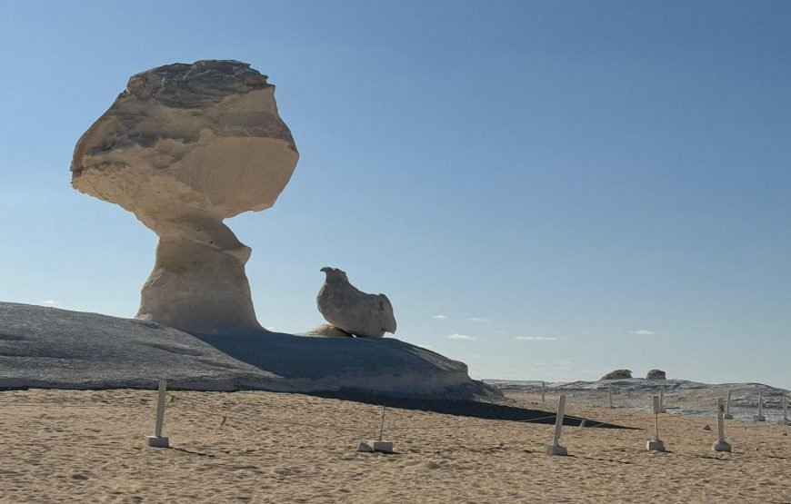 Cairo – Bahariya Oasia – White Desert Tour  – Cairo.