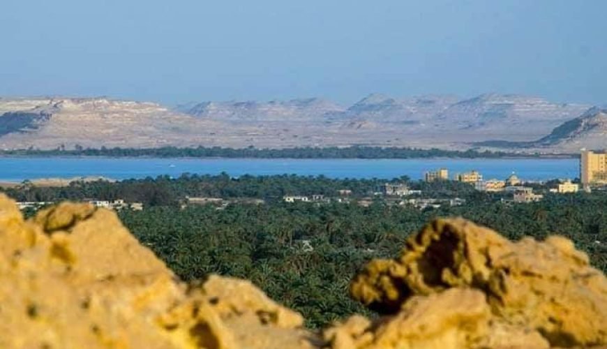 Siwa Salt Lakes Corporate Tour: Group Wellness & Adventure