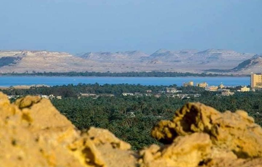 Siwa Oasis Tour From Cairo / 3 Days / 2 Night To Desert Safari Tours