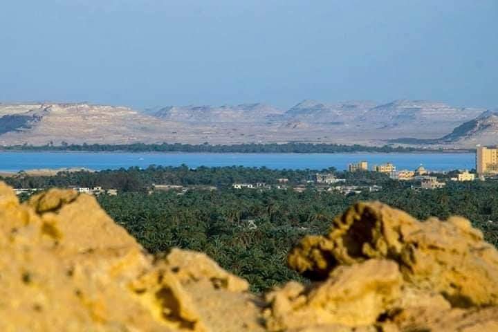 Siwa Salt Lakes Corporate Tour: Group Wellness & Adventure