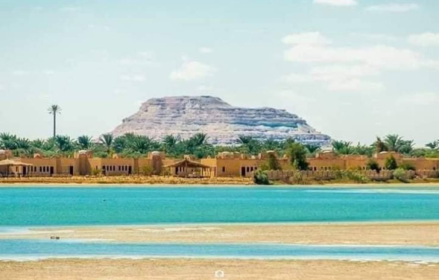 Siwa Oasis Tour From Cairo / 3 Days / 2 Night To Desert Safari Tours