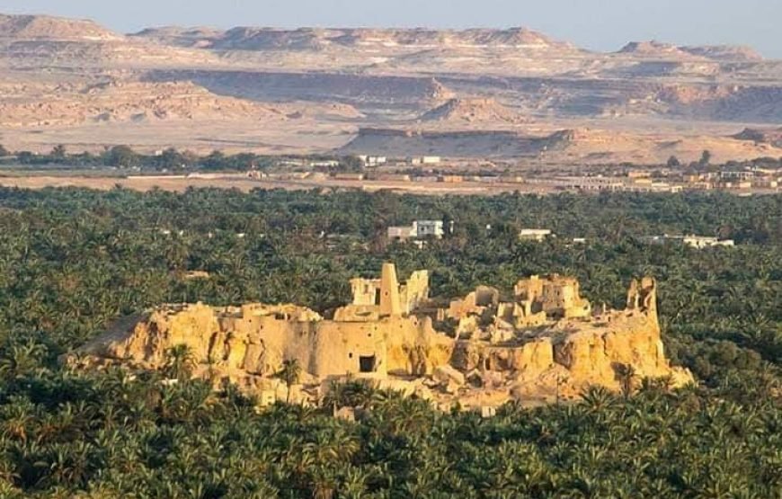 Siwa Oasis Tour From Cairo / 3 Days / 2 Night To Desert Safari Tours