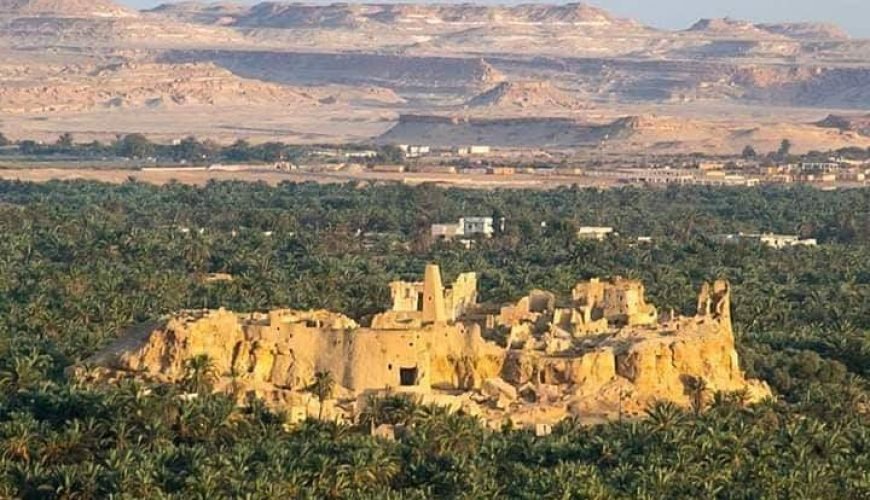 Shali Fortress Siwa Oasis: Exploring the Ancient Mud City