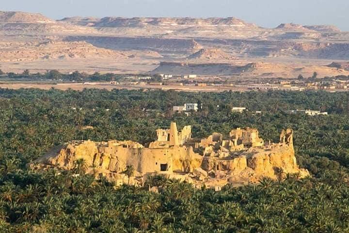 Shali Fortress Siwa Oasis: Exploring the Ancient Mud City