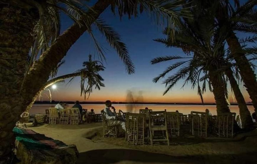 Siwa Oasis Tour From Cairo / 3 Days / 2 Night To Desert Safari Tours