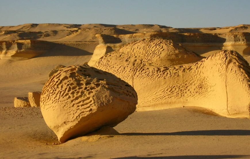 Safari Tour From Cairo To Wadi El-Hitan Egypt
