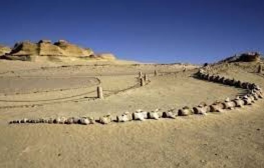 Safari Tour From Cairo To Wadi El-Hitan Egypt