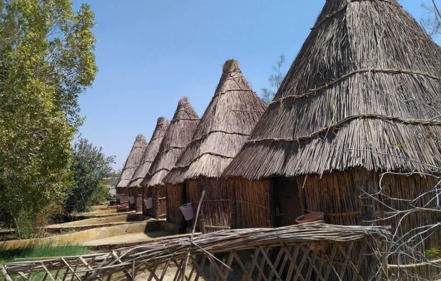 Fayoum Oasis – Bahariya Oasis – White Desert Tour (6 Days / 5 Nights)