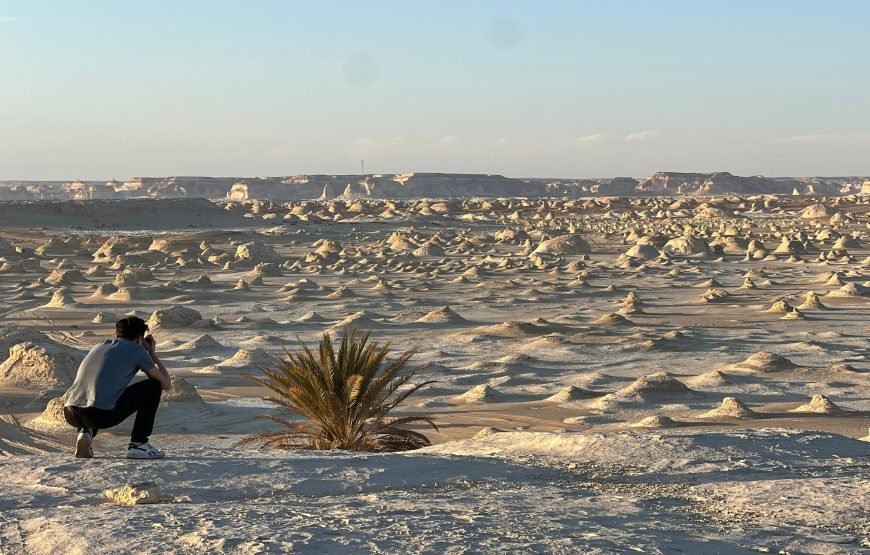 Fayoum Oasis – Bahariya Oasis – White Desert Tour (6 Days / 5 Nights)